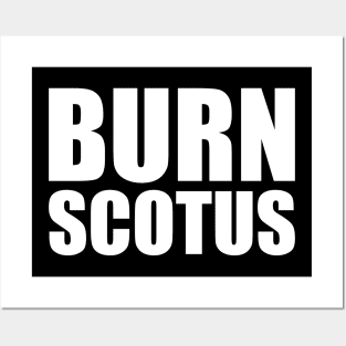 Burn SCOTUS Posters and Art